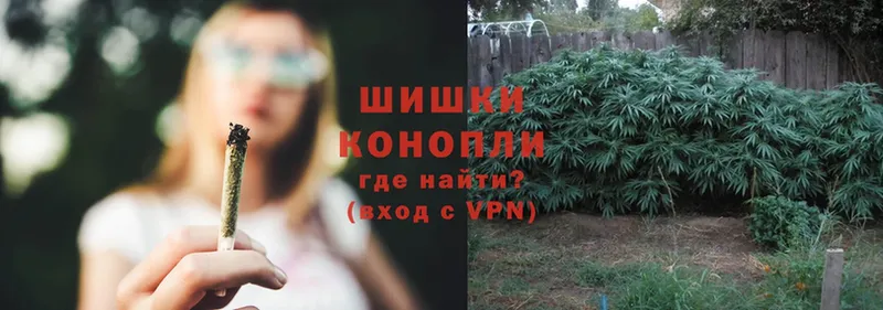 Конопля OG Kush  omg сайт  Бикин 